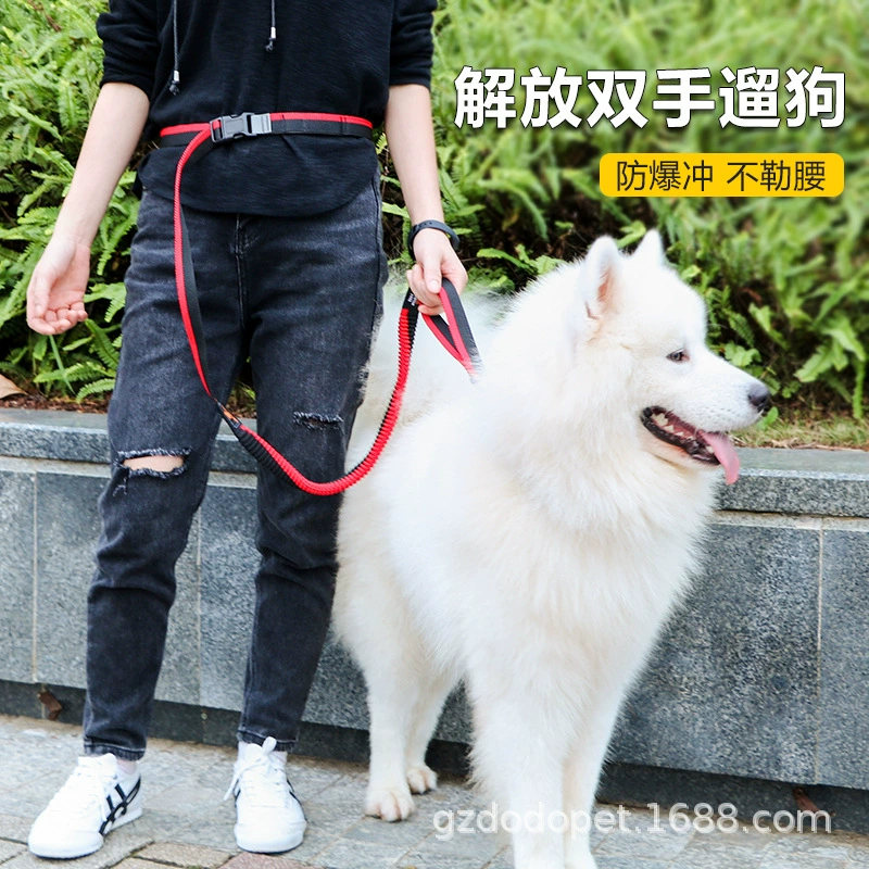 DODOPET собачьи беговые канаты