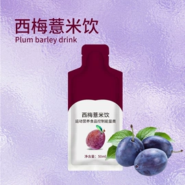 其他冲调饮品;果蔬汁;膳食补充