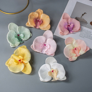 ��������m���^�W�t�l�A�^��ֶY�����c�bҾߔ[�O�ٻ�diy