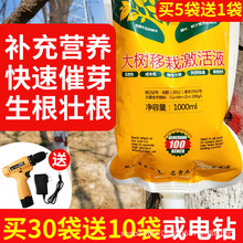 大树营养液吊针袋树木复活液激活液大树发根液果树移栽吊瓶通用型