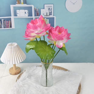 �S�����l4�仨9�^�ɻ���������ɏ��15����ֱ��ˮϵ�@���b��뻨