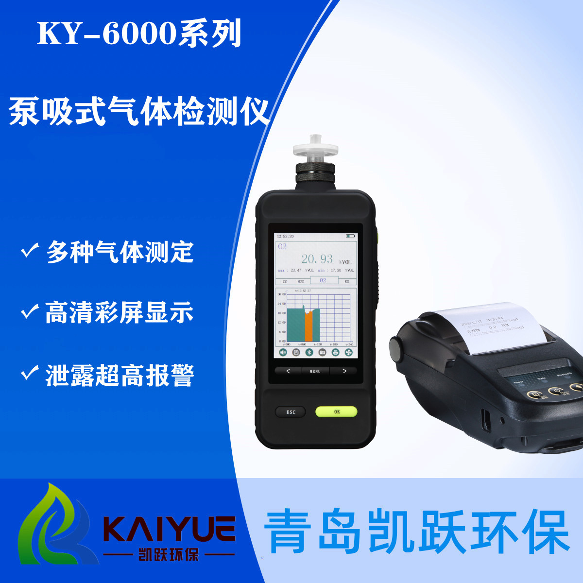 甲醛CH2O气体含量测定仪 KYS-6000型泵吸式甲醛检测仪