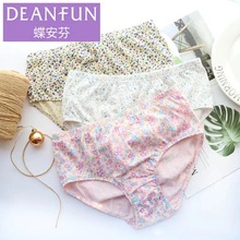 蝶安芬盒装棉加大码妈咪裤碎花纯棉透气高腰小平角内裤1005H