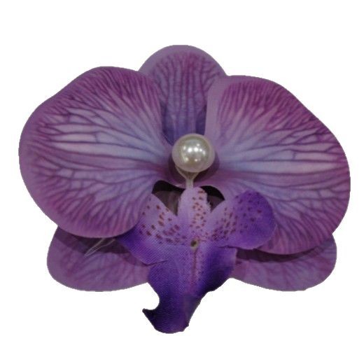 Chica caliente con flores naranjas orquídeas mariposa clips de cabello vacaciones fotos atmósfera clips de cabello