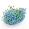 Single branch with 5 forks full of stars blue