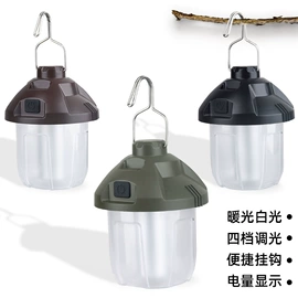 手电筒;手电筒;野营/露营灯