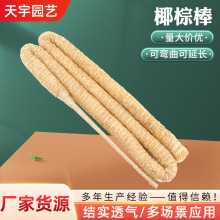 �@ˇ����Ҭ�ذ� ���¹��Sֱ���ɏ����̨���ٗUֲ������Ҭ�ذ�