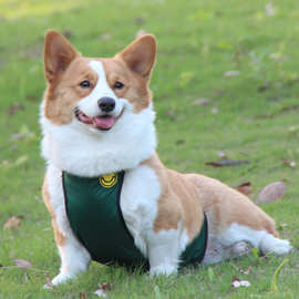 中小型犬狗狗防水肚兜防脏宠物衣服户外包肚围兜柯基专用护腹背心