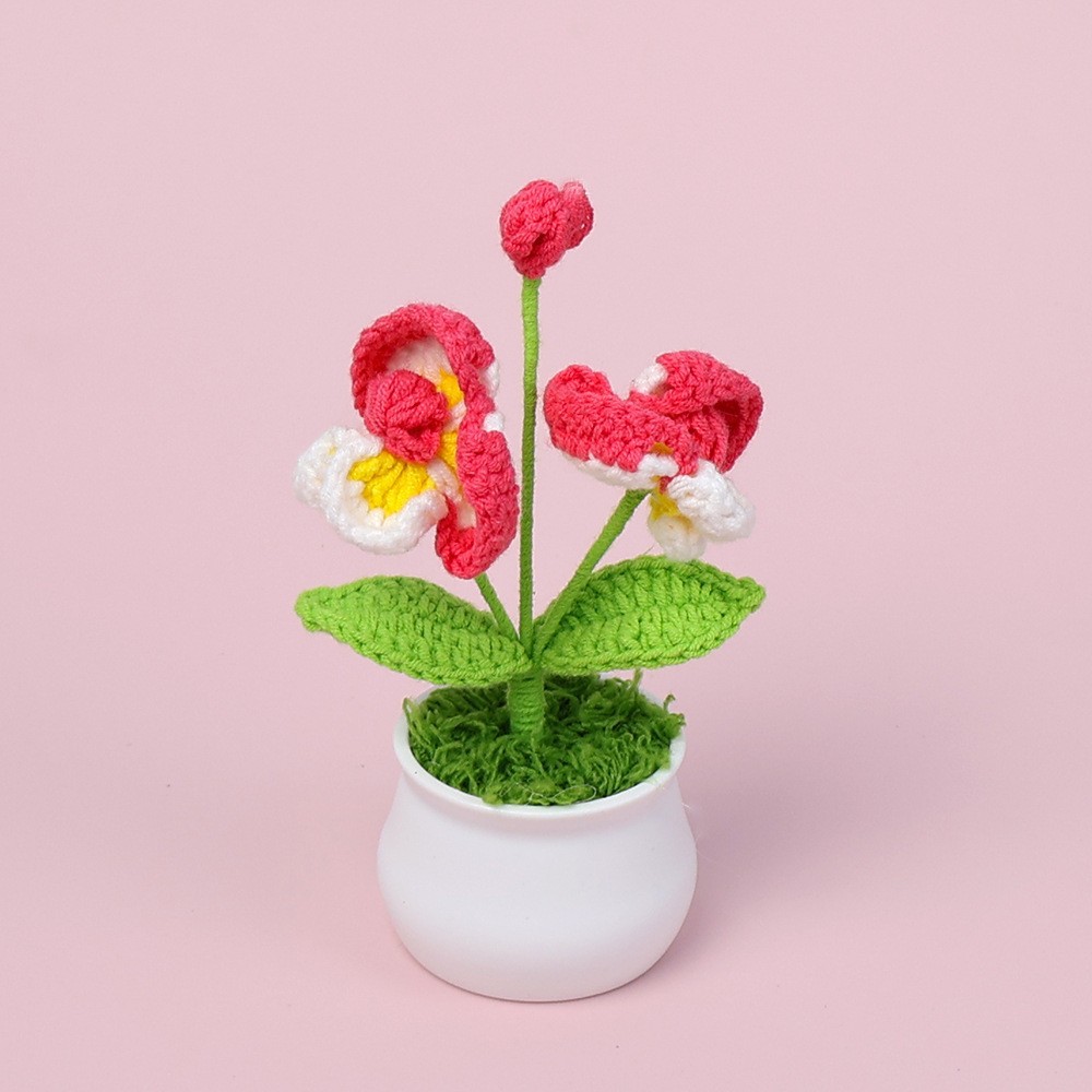 Mengsi - maceta de Phalaenopsis (maceta blanca) - Rosa-1