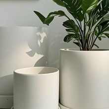 简约素烧陶瓷花盆绿萝多肉盆栽白色粗陶土盆兰花大号口径带托盘