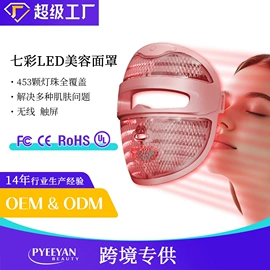 电子美容仪;面罩美容仪;其他美体瘦身