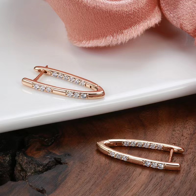 Elegant V-shaped earrings