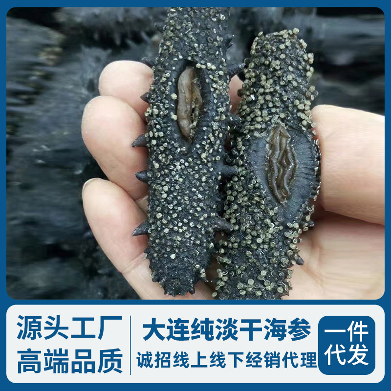 海参工厂海参干货辽参大连海参淡干海参礼盒一件代发海参淡干