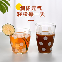 高硼硅玻璃喝水杯办公家用透明玻璃茶杯简约圆点单层果汁牛奶杯