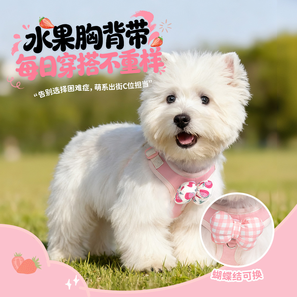 Corda de tracción para perros corda de pecho para perros pequeños corda de paseo para perros chaleco corda de paseo para perros pequeños corda de paseo para perros que osos corda de paseo para perros al por mayor