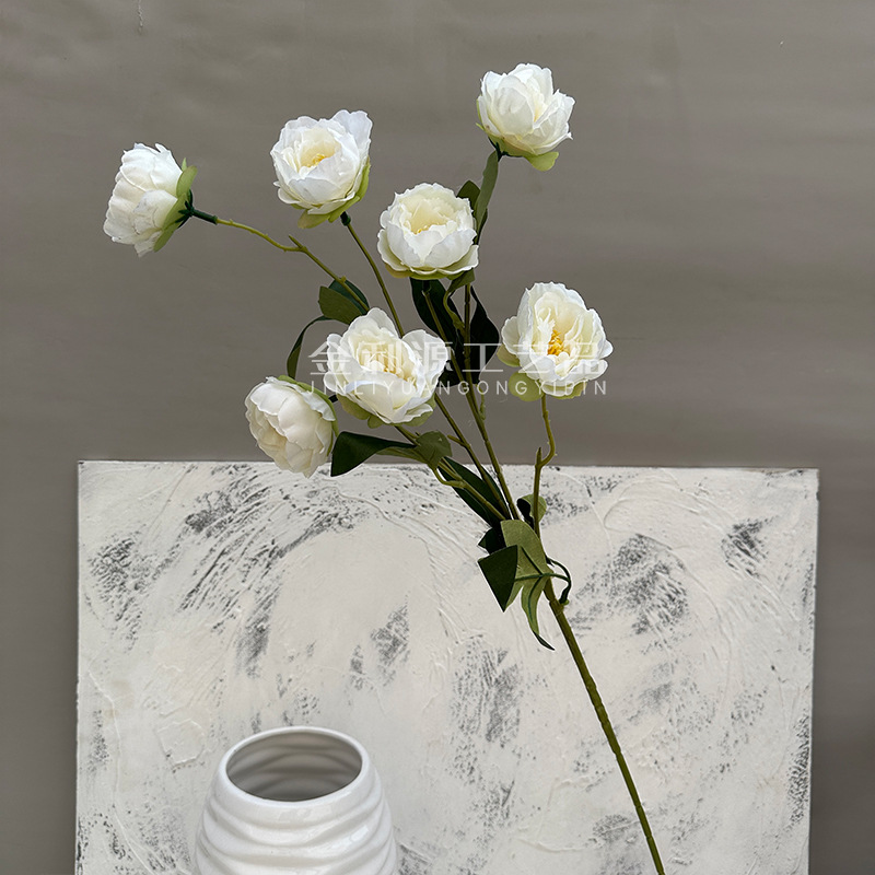 White exquisite peony