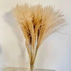 鲜花花艺制品;干花;仿真绿植