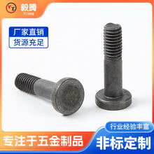 Դ�^�S�ҹ��������ݽz��˨����͹���ߏ��ȈA�^�ݽz�ǘ����l�A���