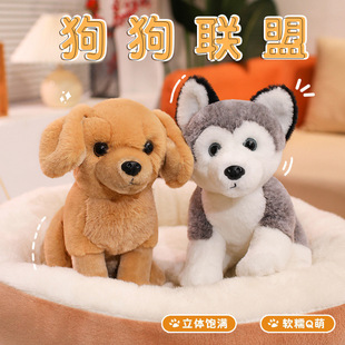 �羳���湷��ë�q��߁��R�d��ʿ�������Ȯ����С��������ż