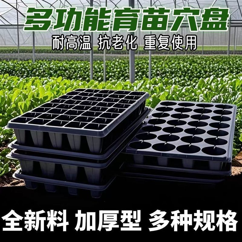 育苗穴盤育苗盤厚いPVC野菜多肉芽菜挿し木盤唐辛子苗盤いちご育苗盆|undefined