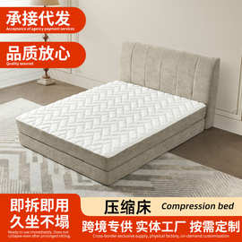 丝绒软体床北欧轻奢小红书双人布艺床现代极简小户型公寓家具新品