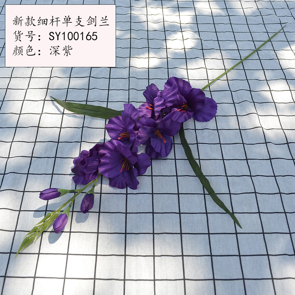 새로운 얇은 줄기 단일 글라디올러스 딥 퍼플