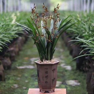 �m�����ԝ���ī�m���m�ļ��m���玧�����҃ȿ͏d�ļ��_���ܺ��B��