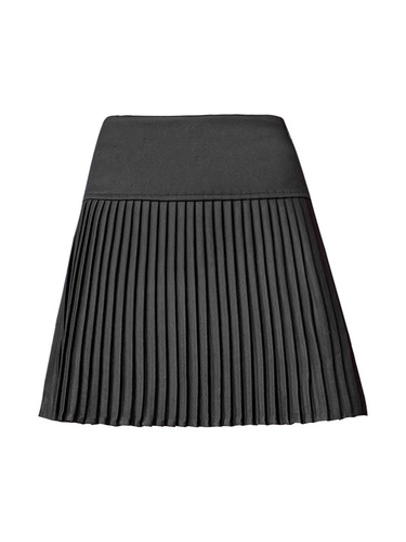 Suit skirt for women spring and summer new style pleated pleated skirt high waist slimming A-line winter thickened skirt