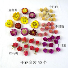 橡果幼儿园手工制作天然松果千纹果材料装饰干花圣诞节DIY果子