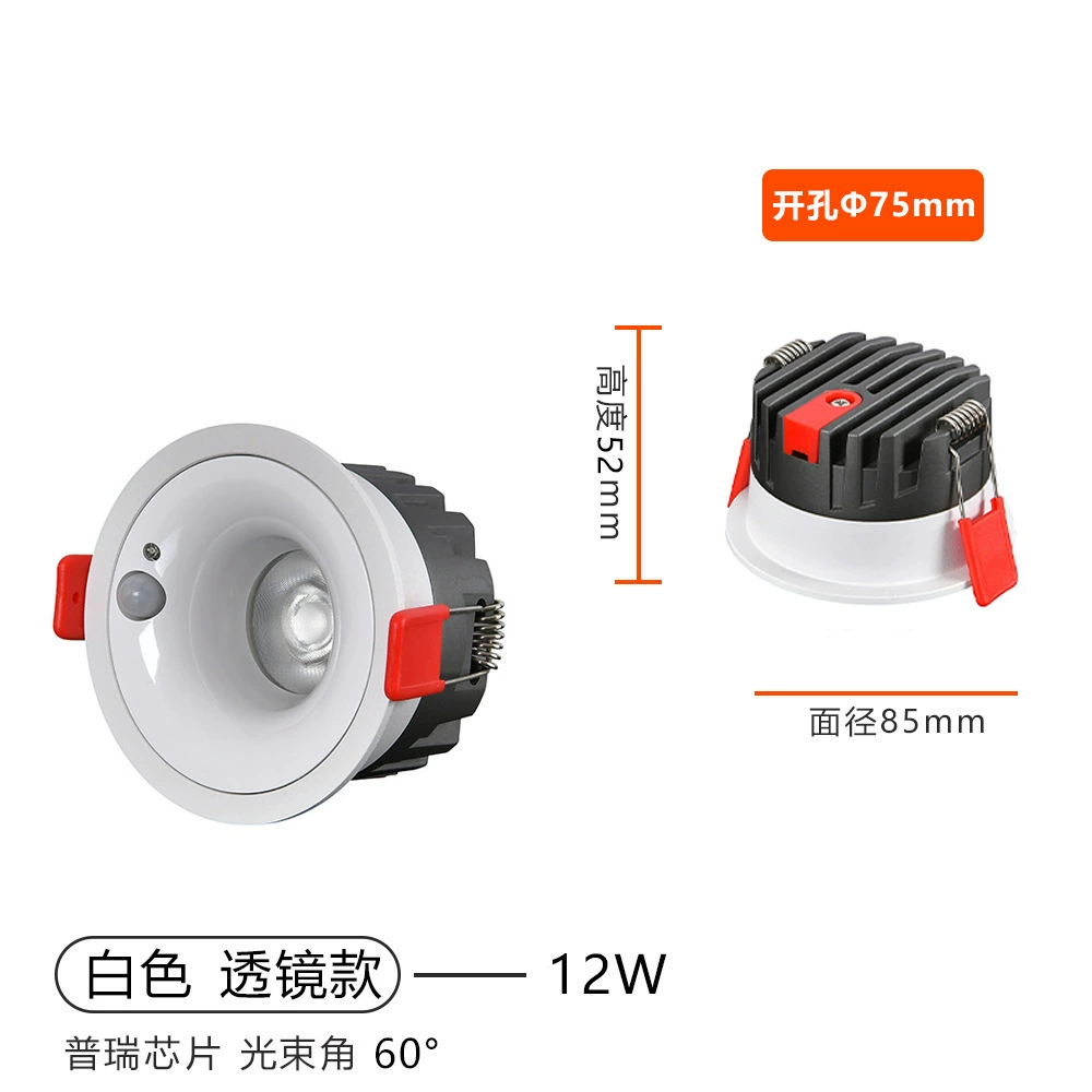 Built-in physiological induction ceiling light, lights for living room for corridor