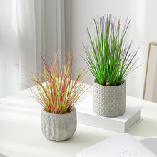 ����Gֲ���[��ˮ�����ԼҾӔ[���k�����̳ǹ����b��Ĕz���߾Gɫ