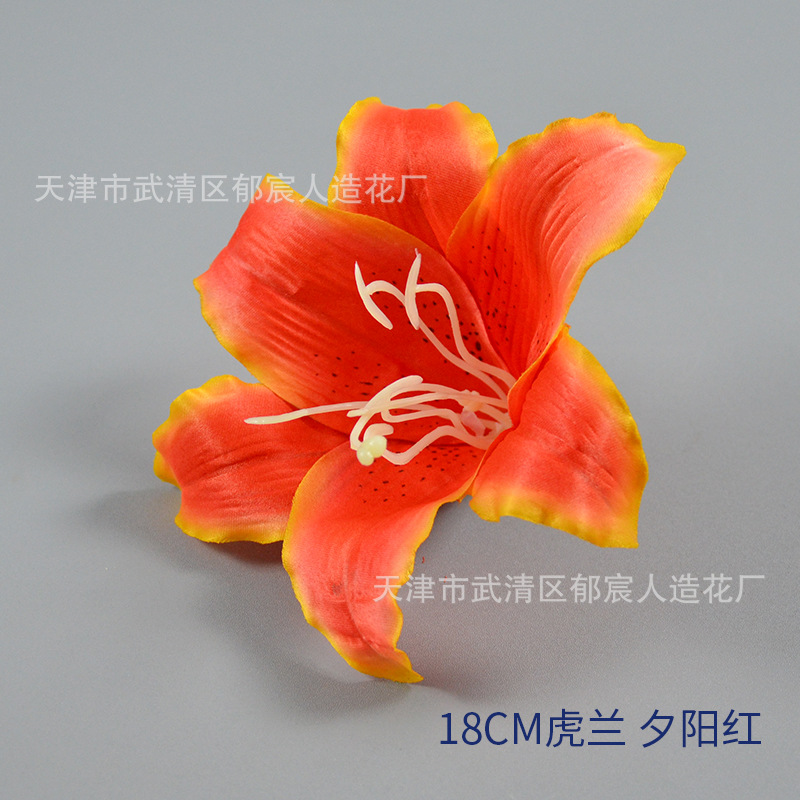 18cm tiger orchid sunset red