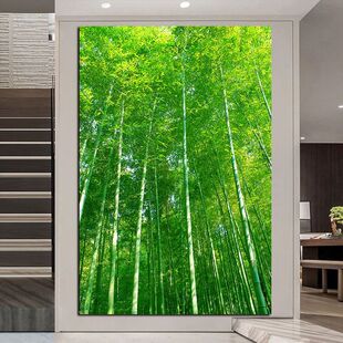 �������Ӵ������ƽ�������������P�����^���b��͏d������ճ��