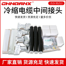 ǭ�d35KV�߉���|����ZLS-35/3.1�����о��s��|�K���^���g���^