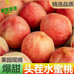 ����ˮ���ҬFժ���rˮ����������ë�҃���5��ι�160g+