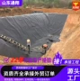 防渗隔离化粪池沉淀池土工膜