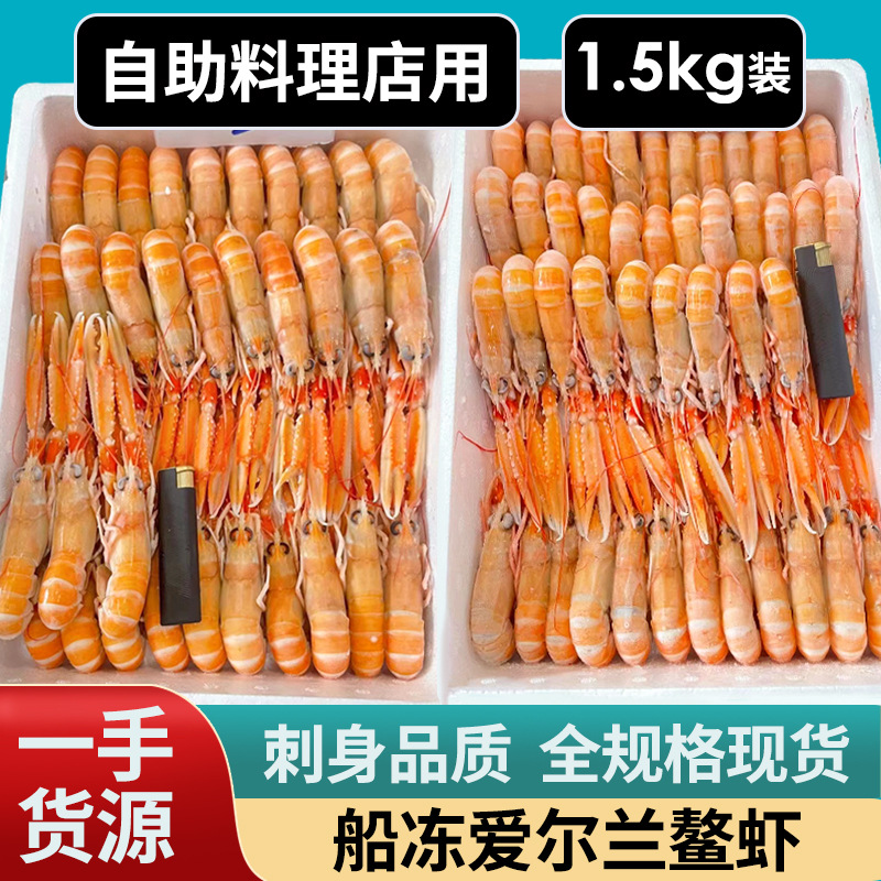 野生爱尔兰进口鳌虾船冻货全规格自助餐海鲜鳌虾深海鳌虾刺身