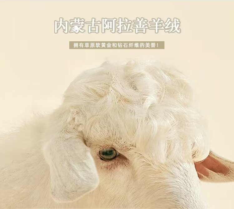 详情16.jpg
