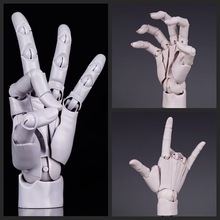 ���Ʉ� 1:1��ģ�� ��ָ�P�� �L�����w���g ���� �[��ģ�ͺ��b���k