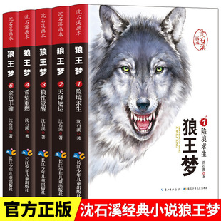 ��ʯϪ���� ������ȫ5�Ԅ���С�fȫ��С�W3-6�꼉�n����x������