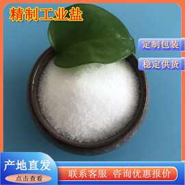 山东工业级工业盐 工业用国标精制细盐 99含量精制工业盐厂家