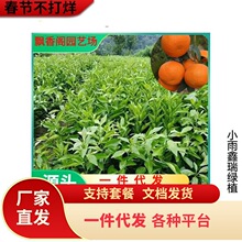 �ָ���̽�������������l�޽ӹ�������B�����Ե��ԏV�|�V������