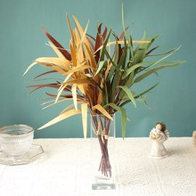 ���z�p�����ܲ����~�ȼ������� �ҾӔ[���ٻ����滨ֲ��zӰ��c