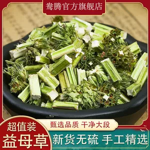 [野生益母草新货益母草茶泡茶泡脚调理姨妈草益母草茶]