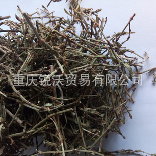 1000�����lɢ�b����q���q�A�q��,�q��,�۹���,�������q��ޤ��Ʒ