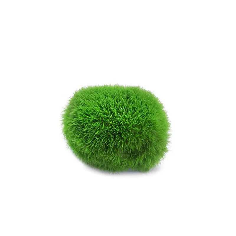 Реалистичные водоросли, водные растения, декоративная смола, декор для аквариума