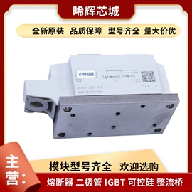 普通晶闸管;IGBT模块;其他二极管