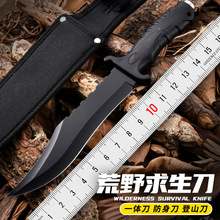 户外刀具随身携带小刀防身刀户外随身小直刀不锈钢水果刀固定刀片