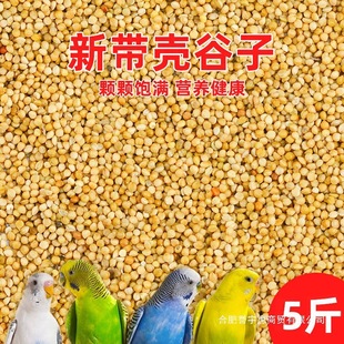 �W�^�B������B�Z���S���ӎ���С�׻�Ƥ������Pĵ���������l���l