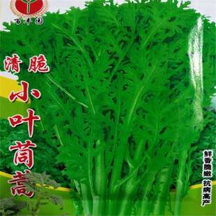 ��U����N�ӻʵ۲�С�~����N���ļ��Nֲ�ˈ@���Դ���e�Nֲ